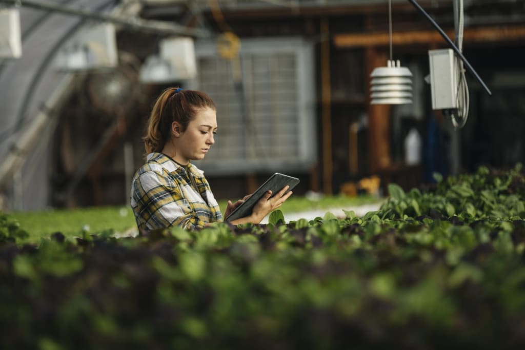 What Is Agribusiness?